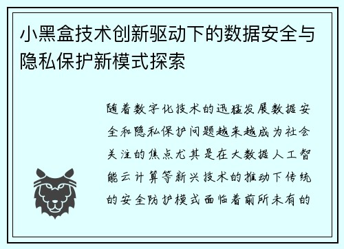 小黑盒技术创新驱动下的数据安全与隐私保护新模式探索